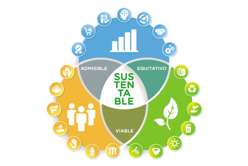 Sustentabilidad: entendiendo el real concepto para las empresas