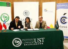 Chino Mandarín a Curicó