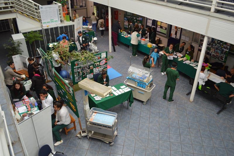 Ensayo PSU Santo Tomás: preparación técnica y emocional