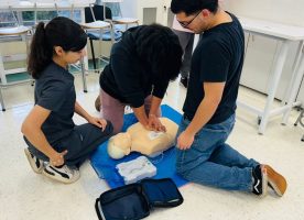 Imagen de Centro de Simulación Clínica de la Universidad Santo Tomás Temuco culminó exitosa semana de Talleres de RCP y Uso de DEA