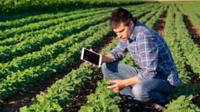 Ingeniería Agrícola - Plan Continuidad de Estudios