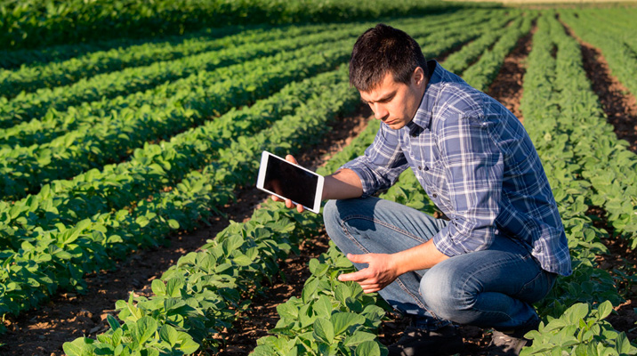 Ingeniería Agrícola – Plan Continuidad de Estudios