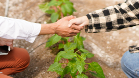 Área de Recursos Naturales