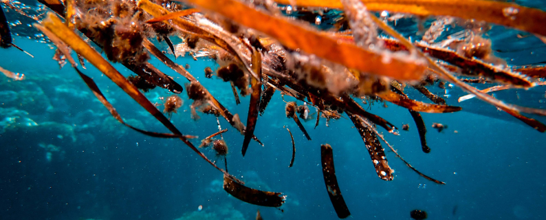 Más de 100 alumnas/os participaron en Bootcamp 